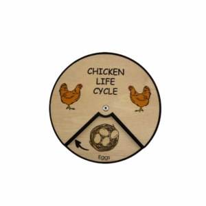 Lernrad Lebenszyklus Huhn von Minisko