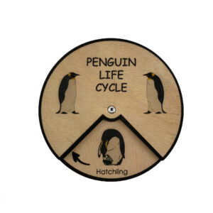 Lernrad Lebenszyklus Pinguin von Minisko