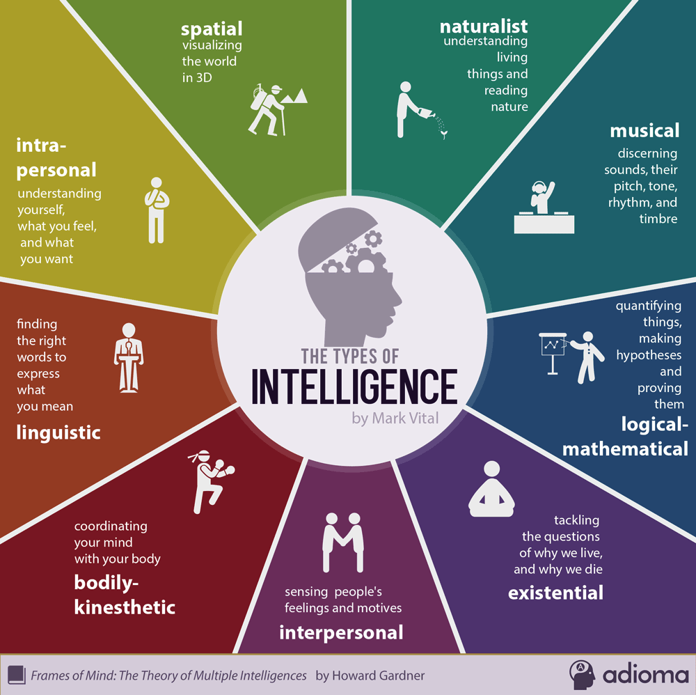Räumliche Intelligenz 9 Arten von Intelligenz infografik von Mark Vital